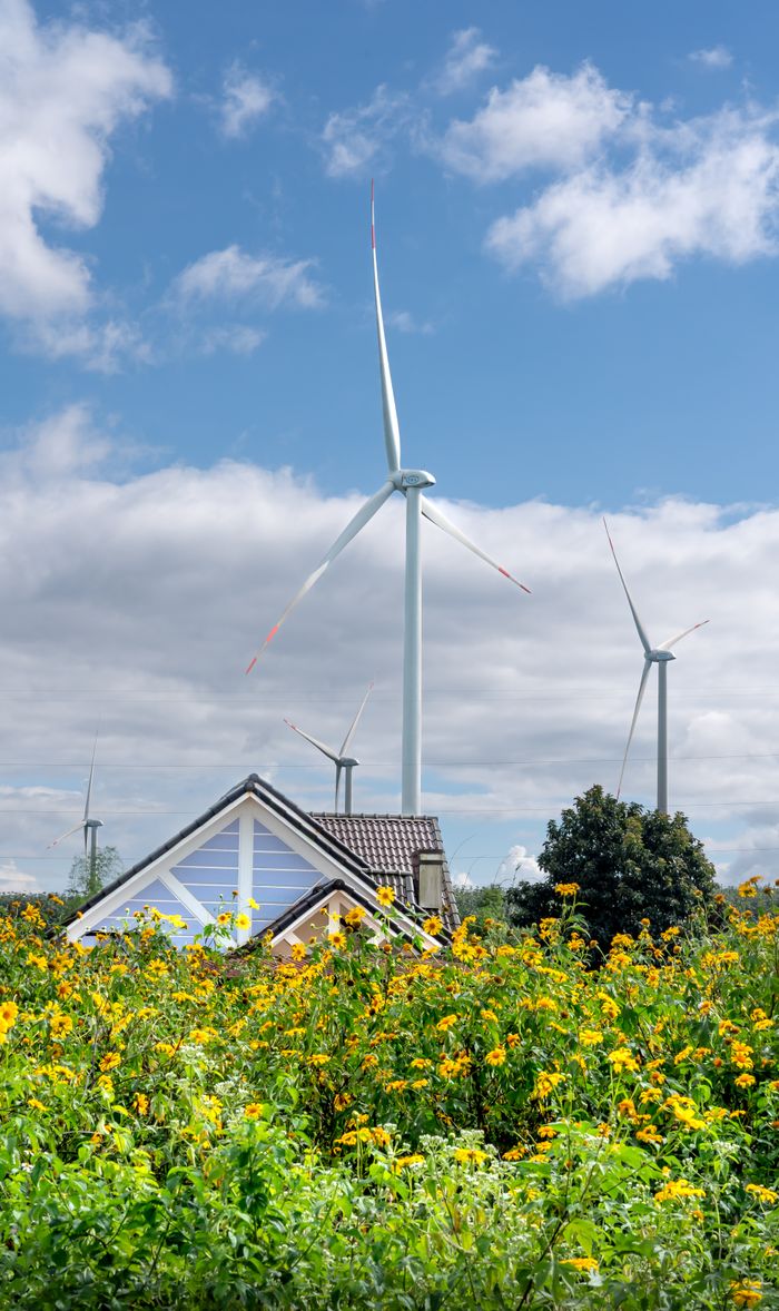 about-us Vertical photo of wind turbines amidst sunflowers and a cottage below a blue sky.